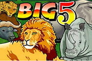 Big 5